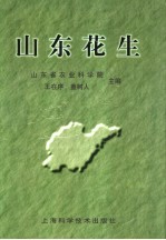 山东花生