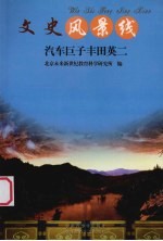 汽车巨子丰田英二