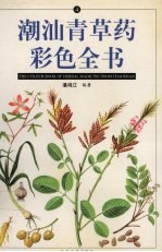 潮汕青草药彩色全书 4