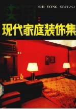 实用现代家庭装饰集