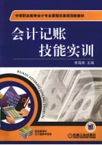 会计记账技能实训