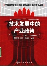技术发展中的产业政策