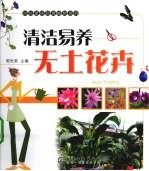 清洁易养无土花卉