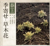 季寄せ-草木花 春-1