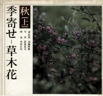 季寄せ-草木花 秋-1