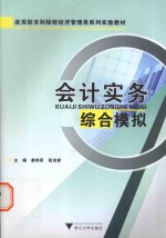 会计实务综合模拟 应用型