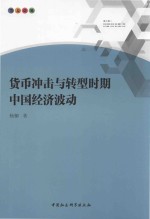 货币冲击与转型时期中国经济波动
