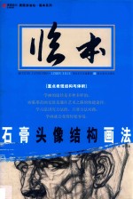 石膏头像结构画法