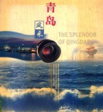 青岛风采 “海尔杯”青岛风采摄影大赛获奖作品集