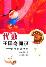 代数王国奇闻录 少年代数学家