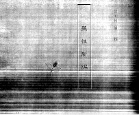 中国本草全书 第150卷 药性新编