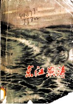 京江怒涛 江苏民兵革命斗争故事选