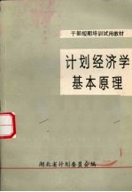 计划经济学基本原理