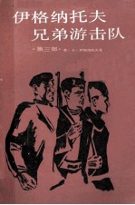 伊格纳托夫兄弟游击战 第3部 蓝色战线的崩溃