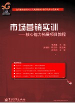 市场营销实训 核心能力拓展项目教程