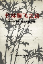竹林腾飞之路 竹林村改革开放十年