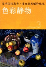 美术院校高考·业余美术辅导作品 色彩静物 3