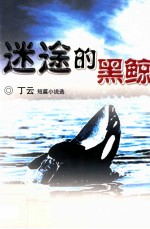 迷途的黑鲸