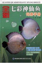 全新七彩神仙鱼饲养手册