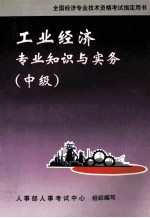 工业经济专业知识与实务：中级