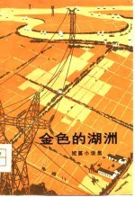 金色的湖洲 短篇小说集