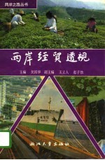两岸经贸透视