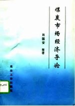 煤炭市场经济导论