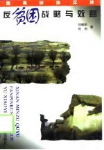 西南民族区域:反贫困战略与效益
