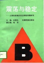 震荡与稳定 云南民族地区社会保险问题研究