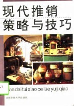 现代推销策略与技巧