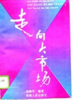 走向大市场