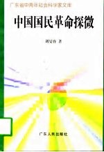 中国国民革命探微
