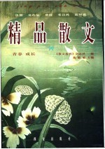 精品散文 青春 成长