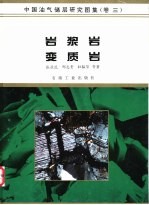 中国油气储层研究图集 第3卷 岩浆岩 变质岩