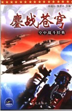 鏖战苍穹 空中战斗经典