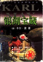 银湖宝藏