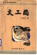 文工团 王安忆小说