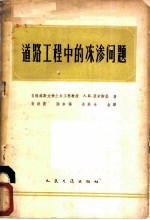 道路工程中的冻渗问题