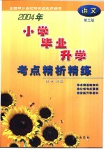 小学毕业升学考点精析精练 语文