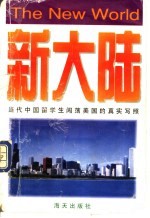 新大陆