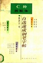 自选速成钢笔字帖 C种 洒脱体