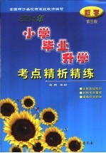小学毕业升学考试精析精练 数学