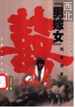 西北“男嫁女”现象调查 长篇纪实文学