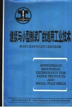 造纸与小型制浆厂的适用工业技术