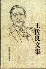 王佐良文集