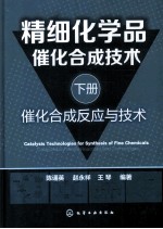 精细化学品催化合成技术 下 催化合成反应与技术