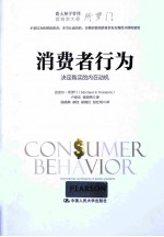 消费者行为 决定购买的内在动机