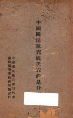 中国国民党到底代表的是什么