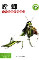 螳螂