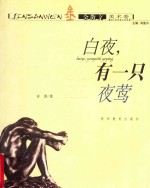 白夜,有一只夜莺